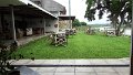 AMO (254)